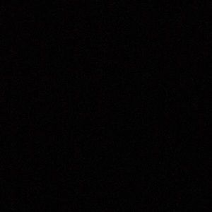 Meet your Posher, Shawntee